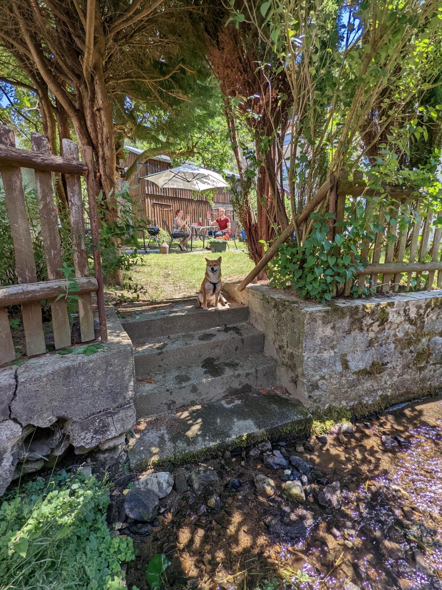 H2 - Urlaubsmagie - Garten, Pool, Terrasse, Grill Sebnitz Zewnętrze zdjęcie