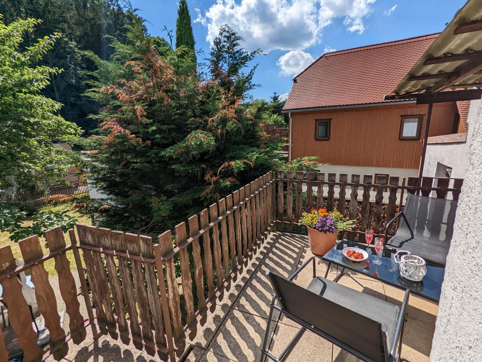 H2 - Urlaubsmagie - Garten, Pool, Terrasse, Grill Sebnitz Zewnętrze zdjęcie