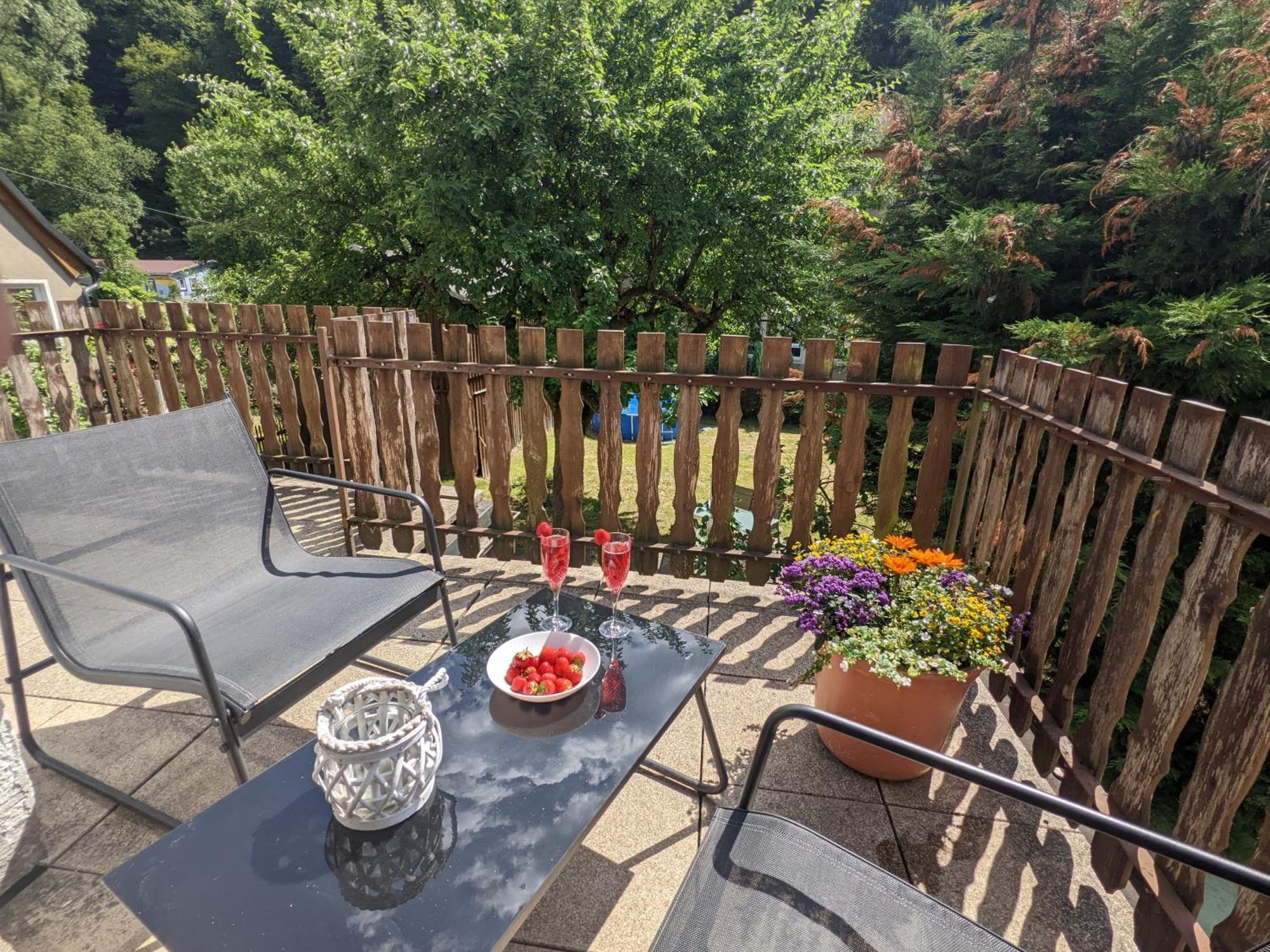 H2 - Urlaubsmagie - Garten, Pool, Terrasse, Grill Sebnitz Zewnętrze zdjęcie