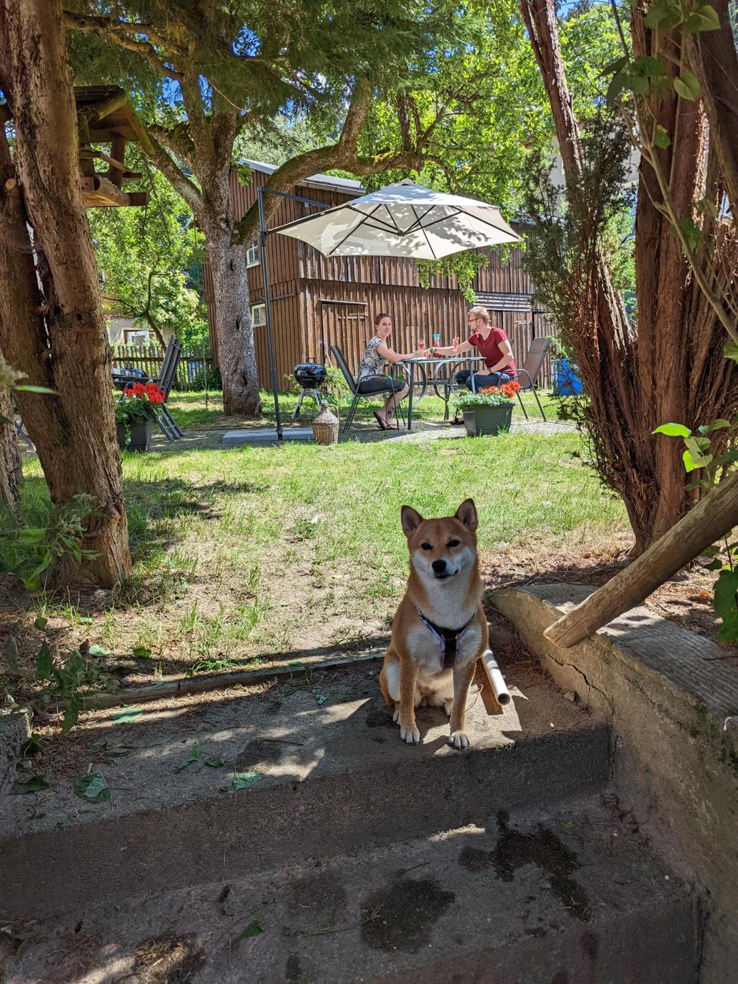 H2 - Urlaubsmagie - Garten, Pool, Terrasse, Grill Sebnitz Zewnętrze zdjęcie