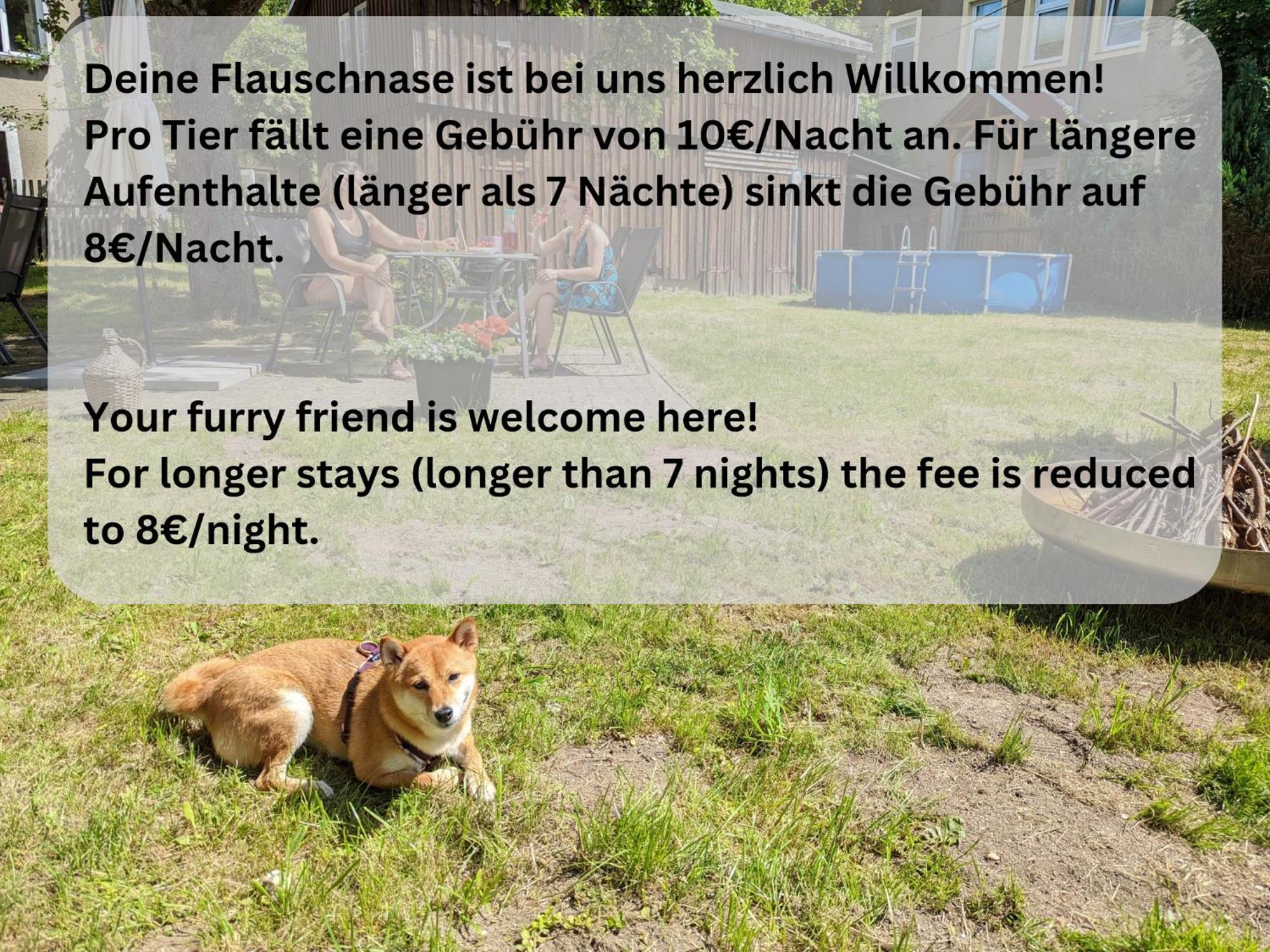 H2 - Urlaubsmagie - Garten, Pool, Terrasse, Grill Sebnitz Zewnętrze zdjęcie